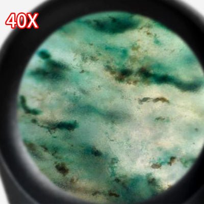 Loupe - FoldScope™ - Noir 40X - BricoÉclairage